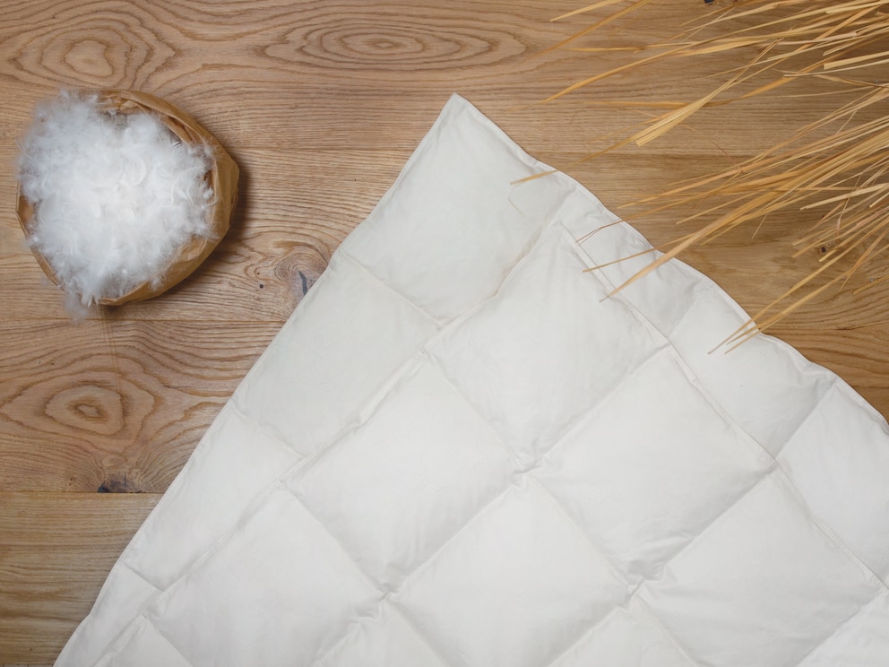 Léger comme une plume et souple : duvet et plumes d'oies allemandes issus d’élevages biologiques contrôlés
