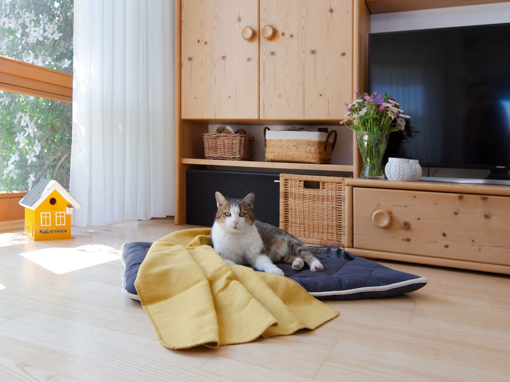 Komfortable Unterlage, hier in Kombination mit kuscheliger Katzendecke Calina