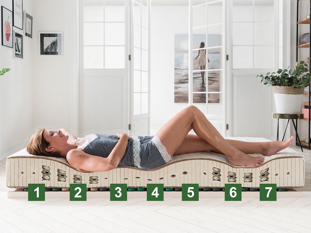 7 Liegezonen für körperangepasstes Liegen: (1) Kopf- und Nackenzone, (2) Schulter-Zone, (3) Lendenwirbel-Bereich, (4) Becken-Zone, (5) Schenkel-Zone, (6) Waden-Zone, (7) Fuß-Zone