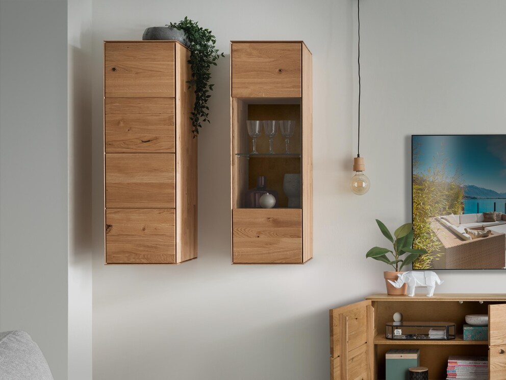 Combinaison tendance de la variante 01 avec porte en verre et de la variante 02 avec porte en bois