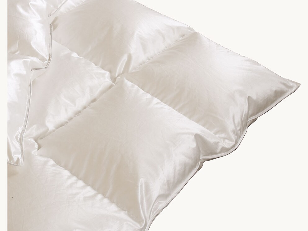 Hemels licht en heerlijk warm - winterdekbed met elegant sneeuwganzendons