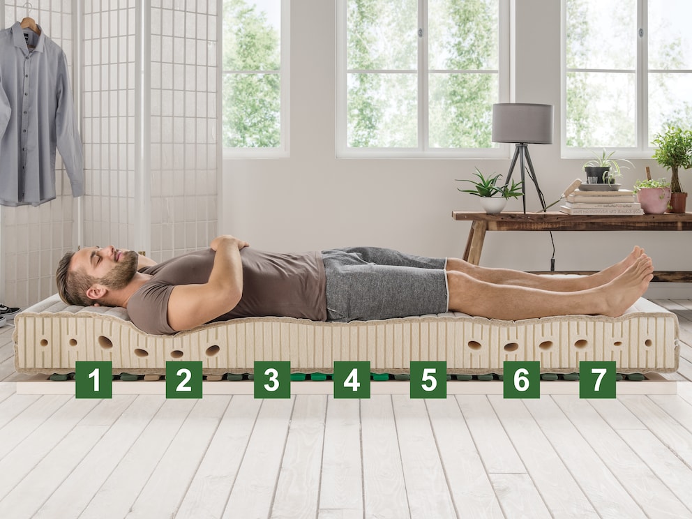 7 Liegezonen für körperangepasstes Liegen: (1) Kopf- und Nackenzone, (2) Schulter-Zone, (3) Lendenwirbel-Bereich, (4) Becken-Zone, (5) Schenkel-Zone, (6) Waden-Zone, (7) Fuß-Zone