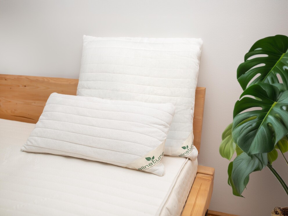 Ons Cotona Medicott katoenen kussen is verkrijgbaar in verschillende maten