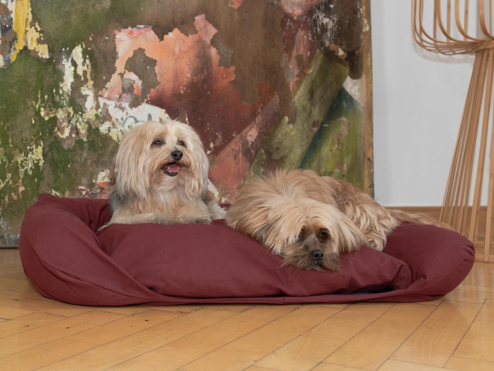 Afmeting 80x60 cm voor kleinere honden, zoals de Entlebucher sennenhond en podenco of als tweepersoonsbed voor heel kleine hondenrassen