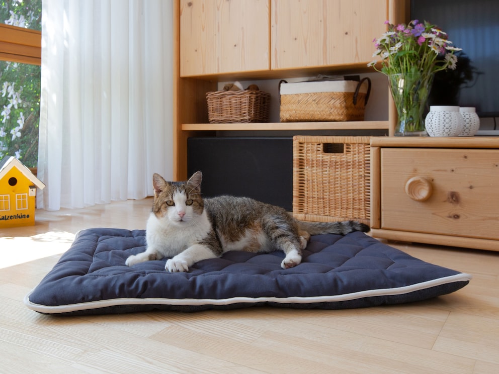 Bequeme Steppdecke mit rutschfester Unterseite, im Bild Deckengröße 80x60 cm