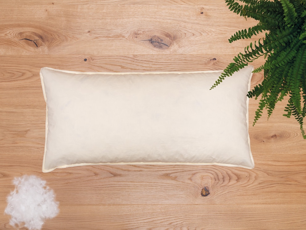 Oreiller en duvet traditionnel – léger comme une plume et douillet, avec le meilleur stockage thermique et la meilleure rétention de la chaleur