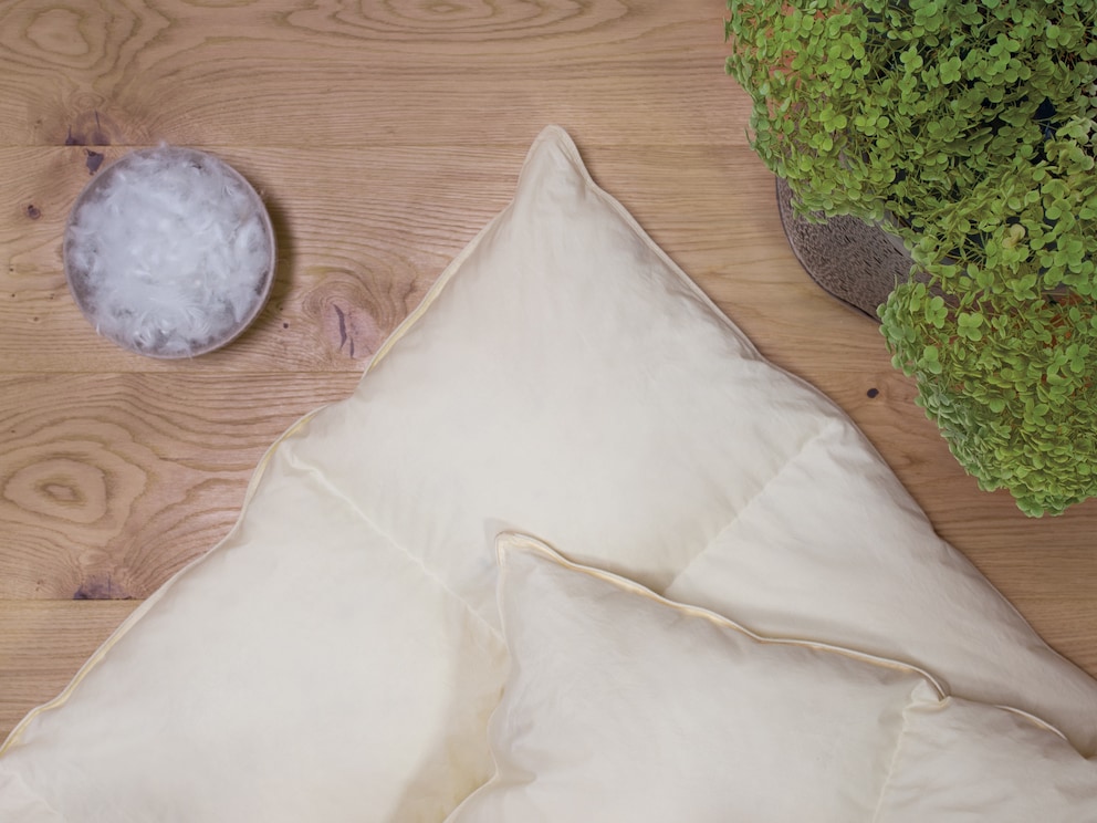 Duvet et plumes d’oie blanche et de canard de Sibérie, classe 1