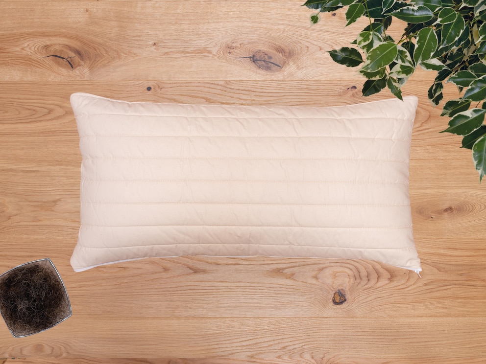 Oreiller en crin de cheval à fort rebondissement avec excellente évacuation de l’humidité