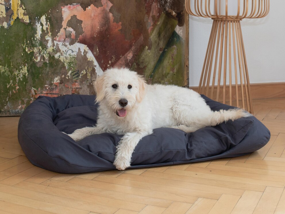 Comfortabel hondenbed voor een gezonde slaap van uw viervoeter, hier in afmeting 100x80 cm voor middelgrote honden
