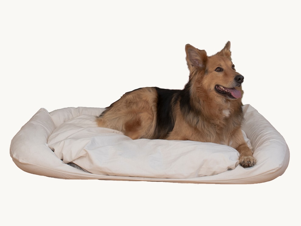Komfortables Hundebett für den gesunden Schlaf Ihres Vierbeiners, hier Größe 100x80 cm für mittelgroße Hunde