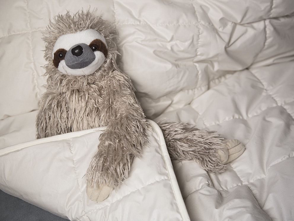 Un nid douillet et chaleureux pour votre petit trésor