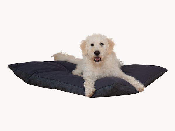 Honden knuffelkussen "Suave"