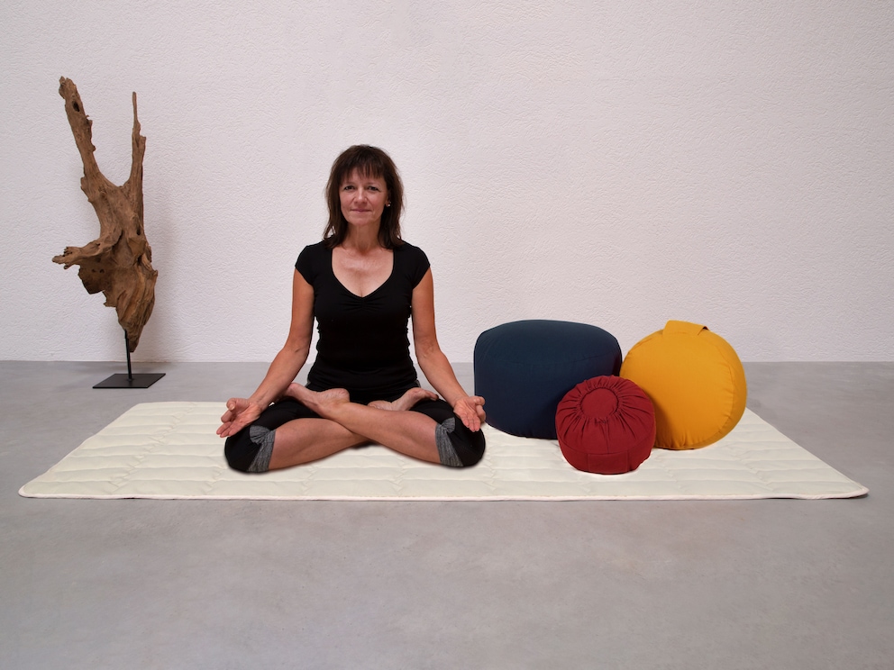 De wasbare hoes maakt Lyovita ook ideaal voor mensen met een allergie