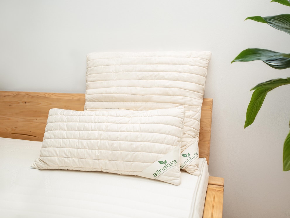 L'oreiller en flocons de lyocell Lyovita est disponible en différentes tailles