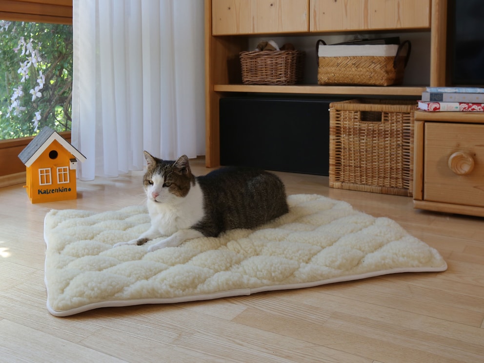 Couette avec dessous antidérapant et rembourrage en laine douillette, ici en dimension 60x80 cm