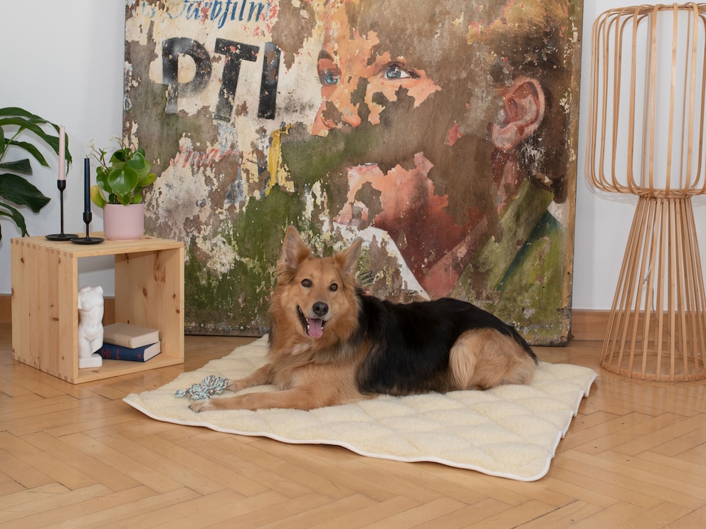 Couette rembourrée avec de la laine douillette et dotée d'un dessous antidérapant