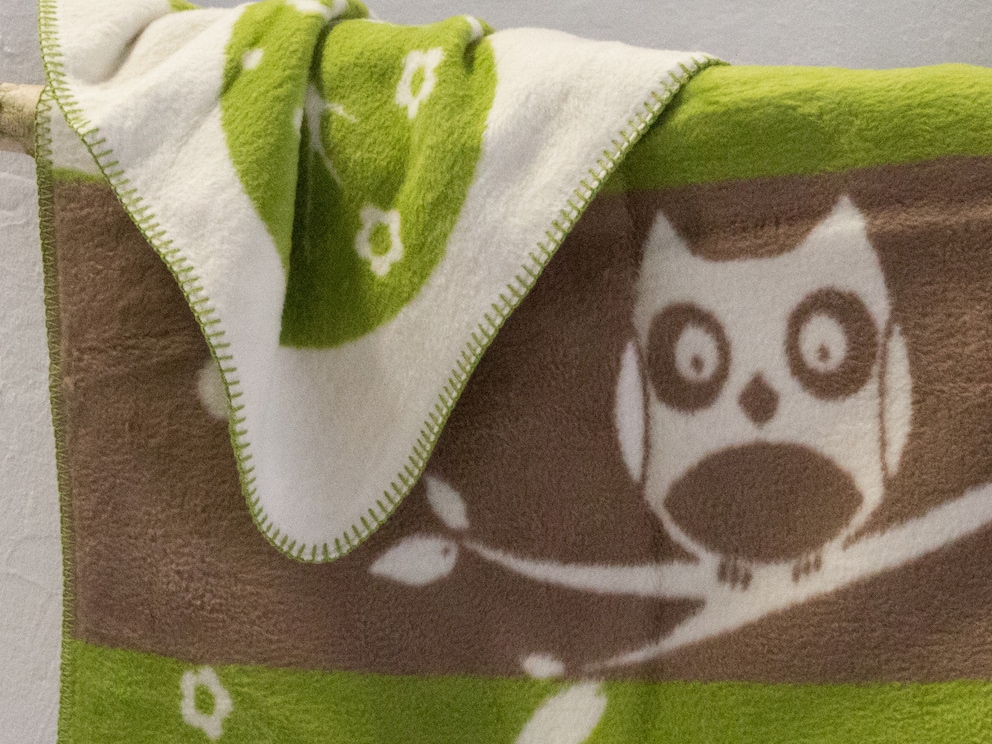 Ravissant visuel biface avec hibou savant