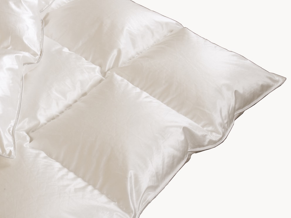 Hemels licht en heerlijk warm - winterdekbed met elegant sneeuwganzendons