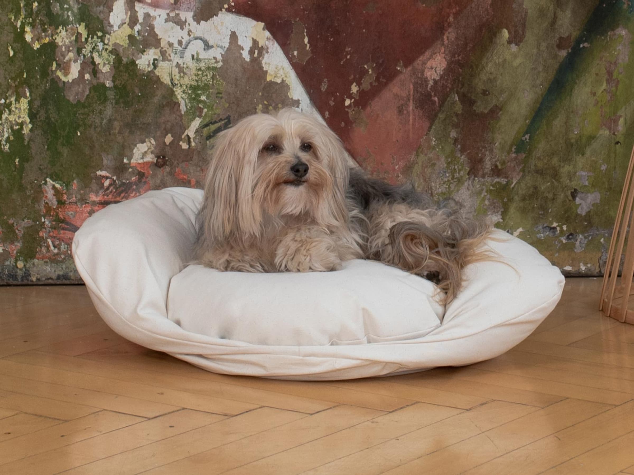 Hundebett "Cuma" - Mit abgesenktem Einstieg und Randrolle | allnatura